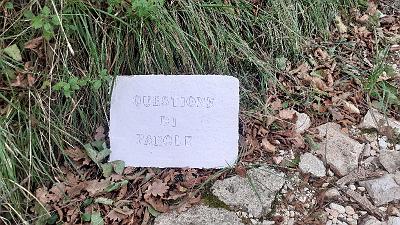 PAROLA PER PAROLA (8)
